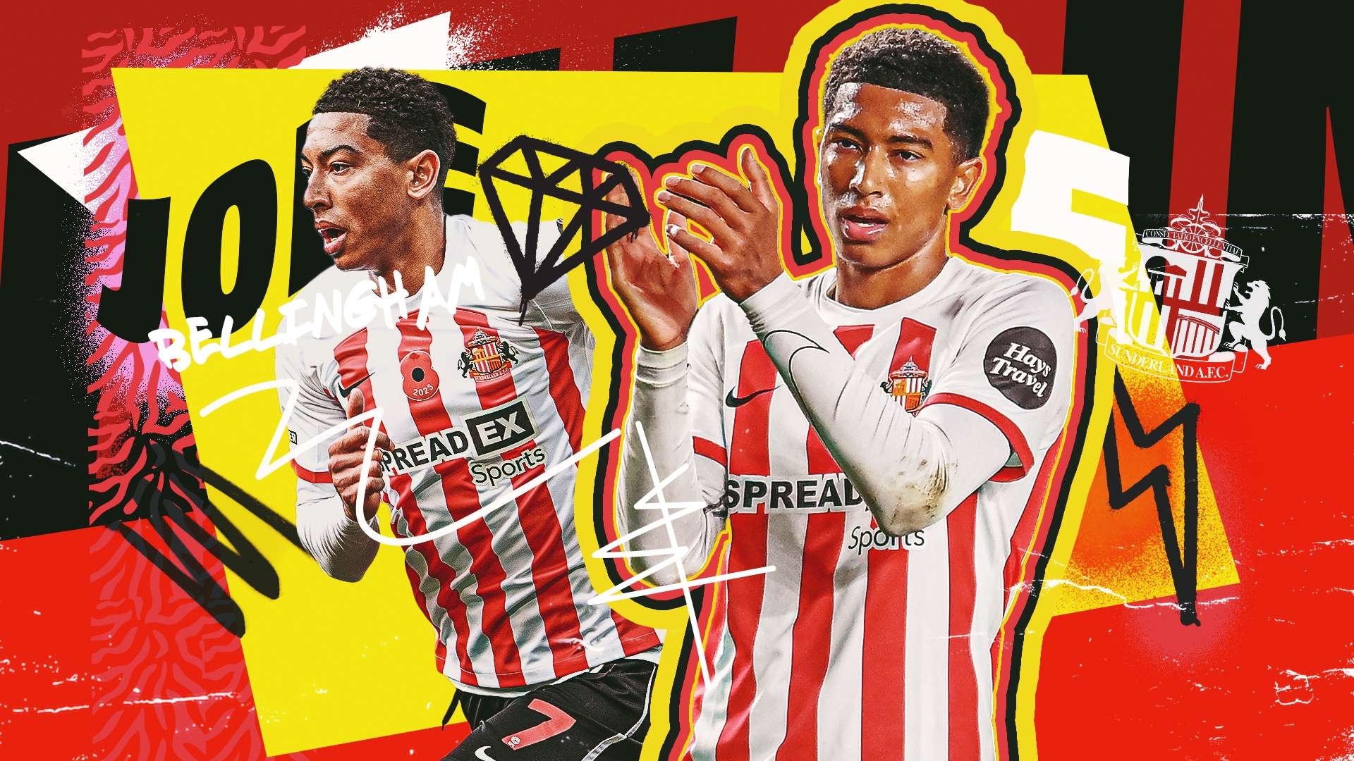 阵容的活力 阵容的活力